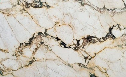 Vagli Oro — supplier product image