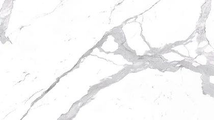 Catalog image for BIANCO STATUARIO VENATO LAMINAM POLISHED PORCELAIN A 128X60