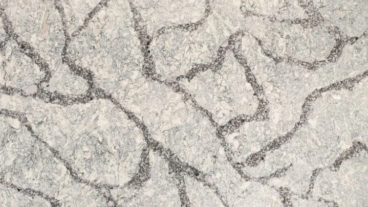 Catalog image for SEAGROVE POLISHED CAMBRIA 2CM STD 122X55.5