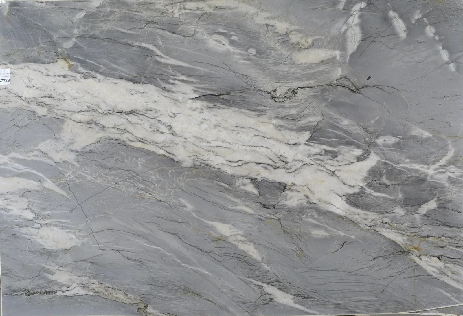 PLATINO LIGHT 2CM LEATHER — supplier catalog image