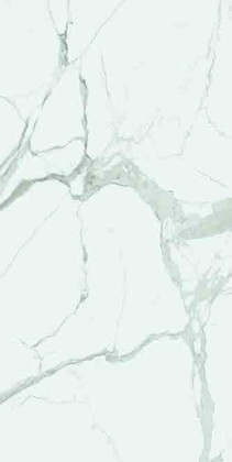 MARBLE STATUARIO — official supplier catalog image