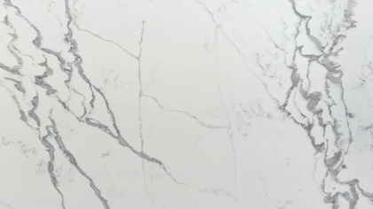 Catalog image for BIANCO STATURIO POLISHED ME QUARTZ 2CM STD A 120X63