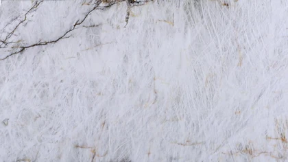 Catalog image for CRISTALLO LEATHERED QUARTZITE 2CM