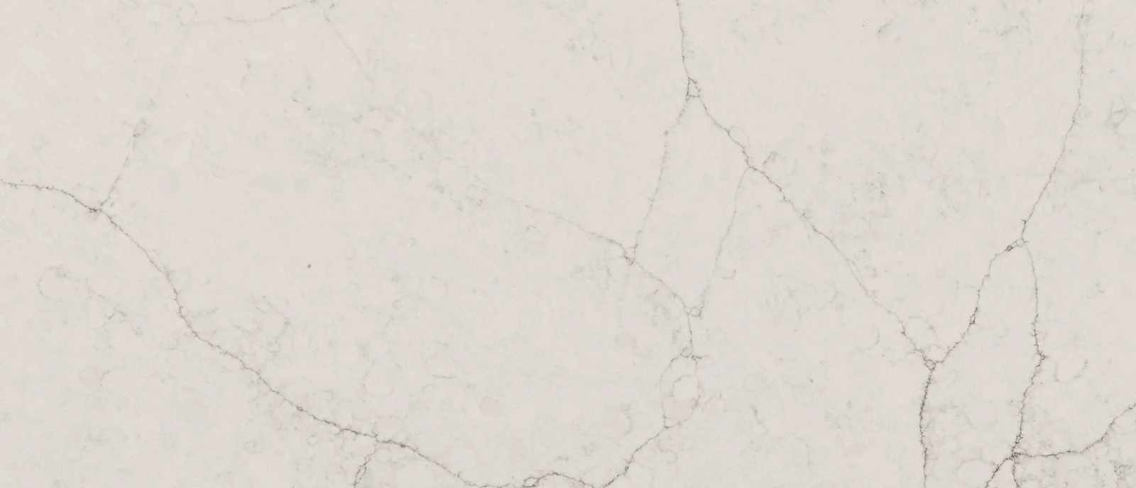 Calacatta Valentin Q Surface Sample