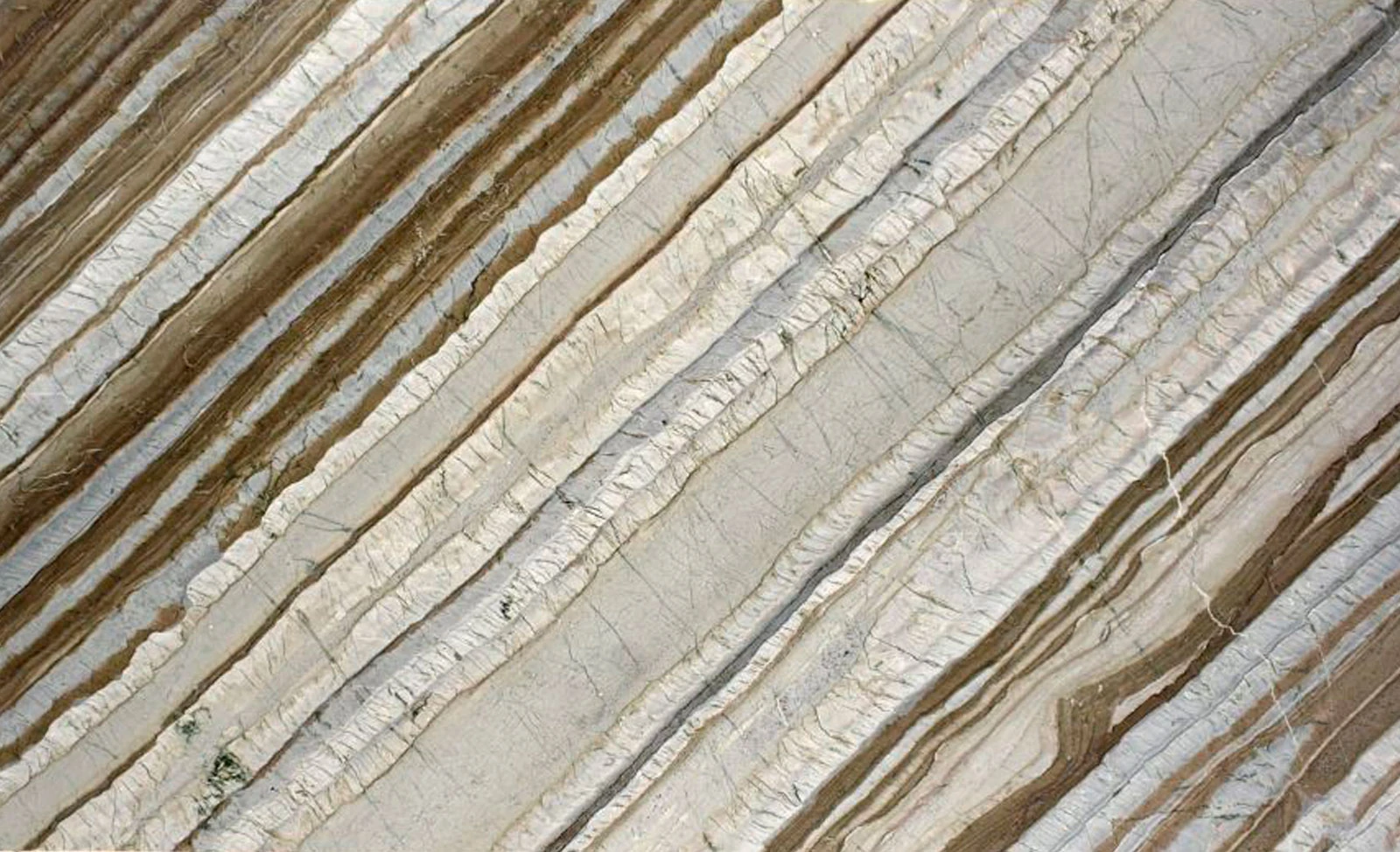Corteccia — supplier product image