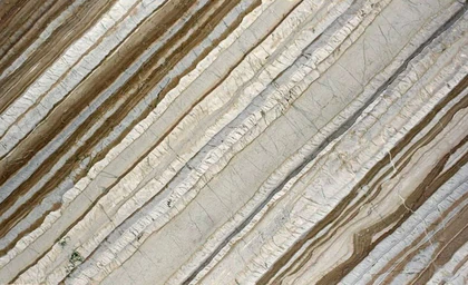 Corteccia — supplier product image