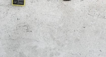 COLONIAL WHITE 3CM POLISHED — supplier catalog image