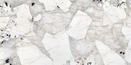 Catalog image for EPIC BLANCHE NATURAL PORCELAIN 12MM B 126X63
