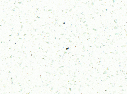 White Mirror Revera quartz catalog swatch