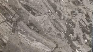 Catalog image for VENETIAN BROWN POLISHED MARBLE 1.8CM