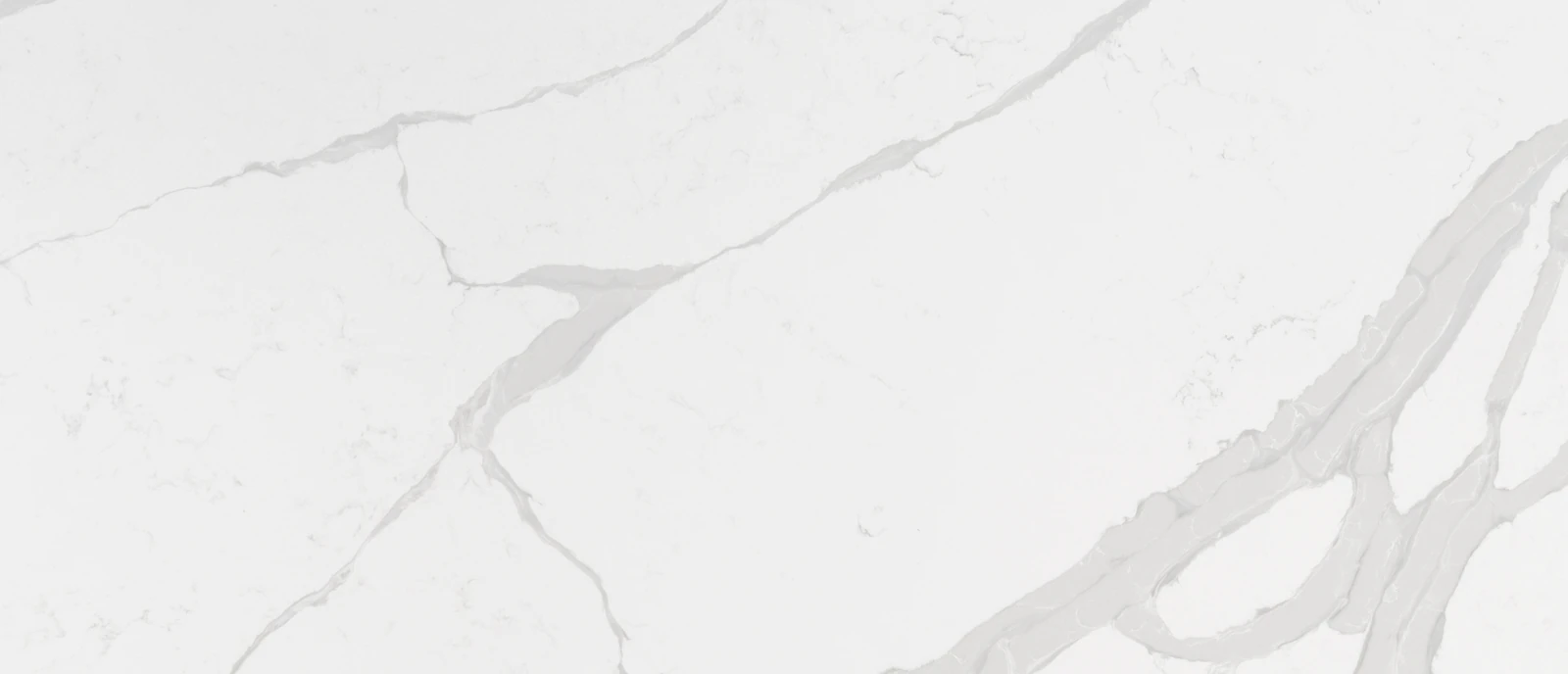 Calacatta Luccia Quartz Sample