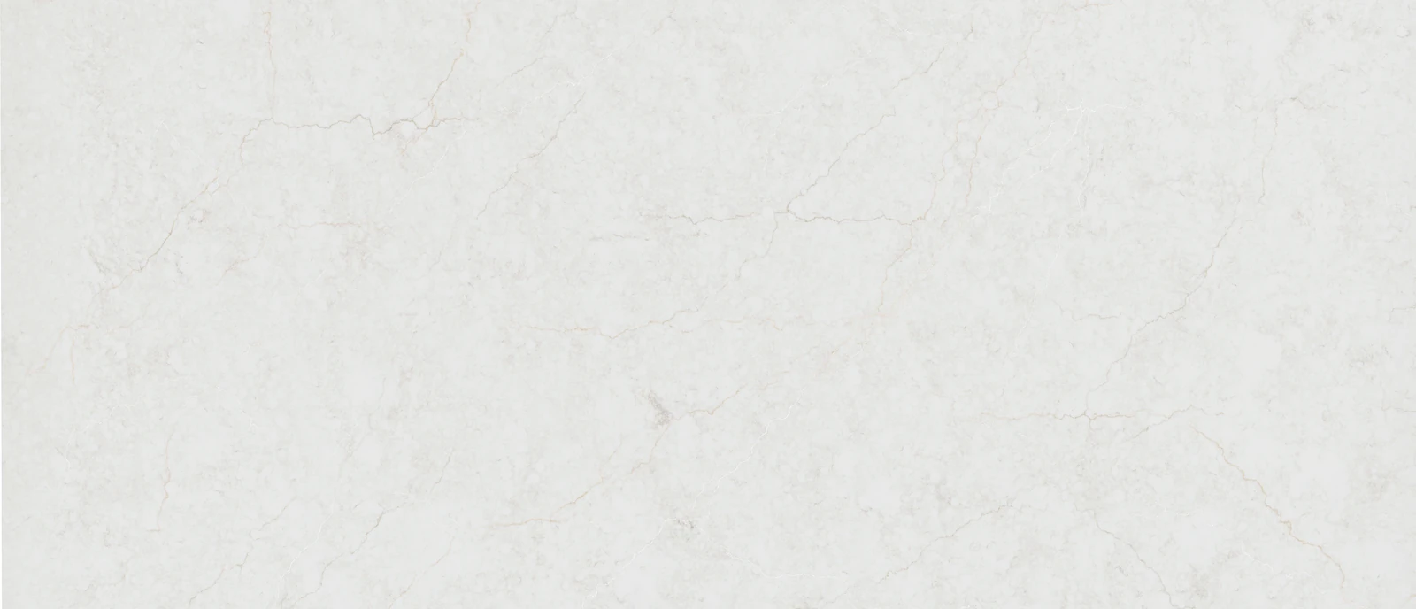 Calacatta Miraggio Cove Honed Slab