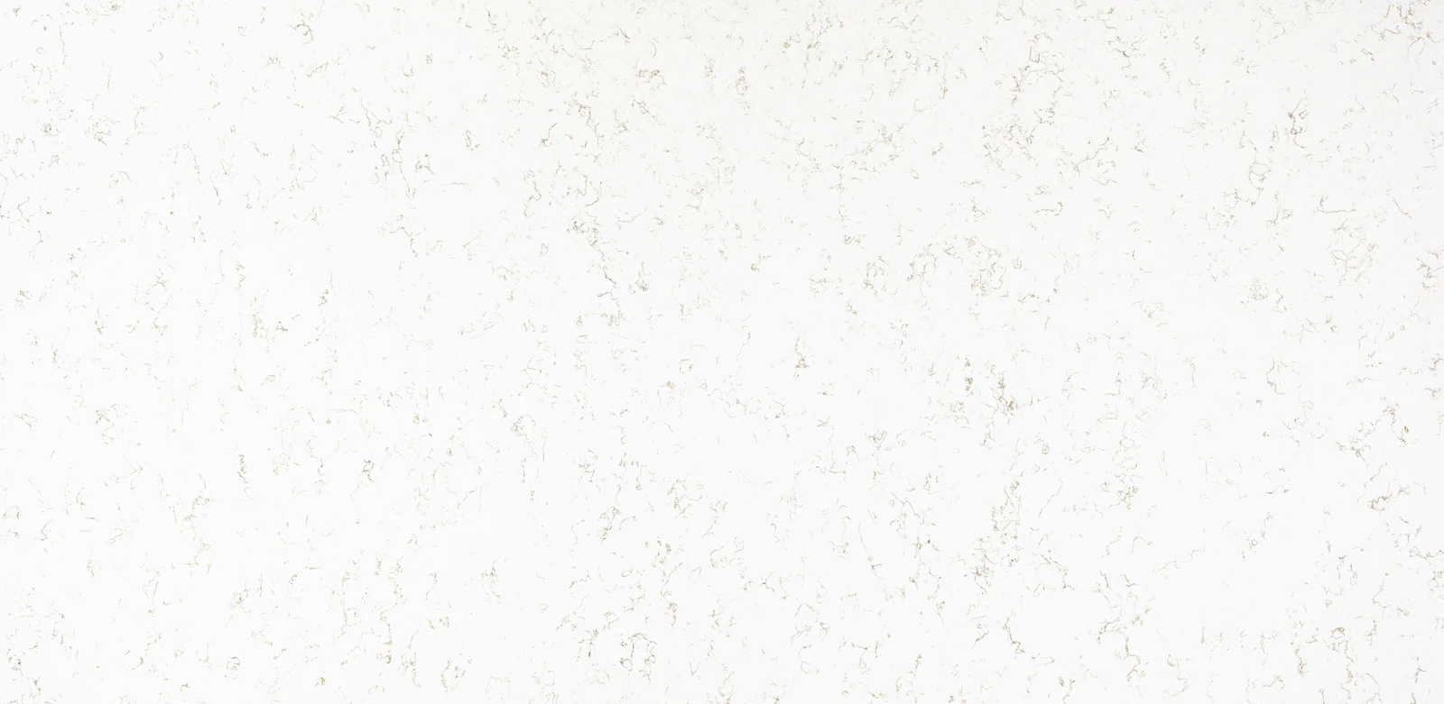 PETRAMIA CARRARA ROYAL 2CM JUMBO 130X65 — supplier catalog image