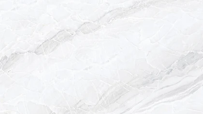 Catalog image for WHITE PARADISE POLISHED PORCELAIN 12MM A 128X64
