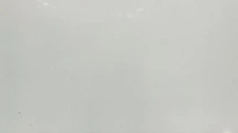 Catalog image for POLAR WHITE POLISHED N ME QUARTZ 2CM JUMBO 128X63