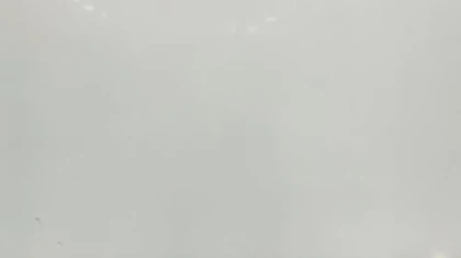 Catalog image for POLAR WHITE POLISHED N ME QUARTZ 2CM JUMBO 128X63