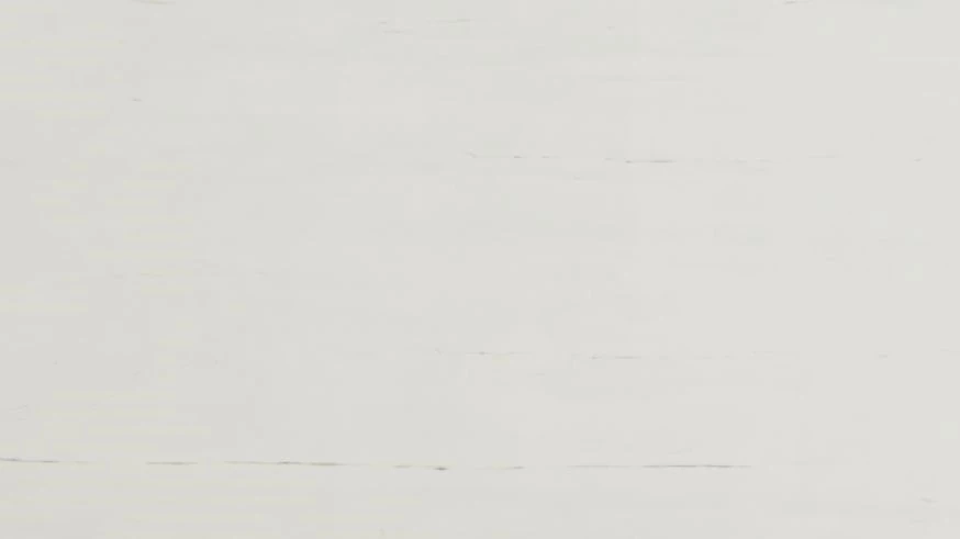 Catalog image for SOUND WHITE POLISHED PORCELAIN 12MM A 126X63