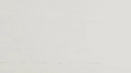 Catalog image for SOUND WHITE POLISHED PORCELAIN 12MM A 126X63