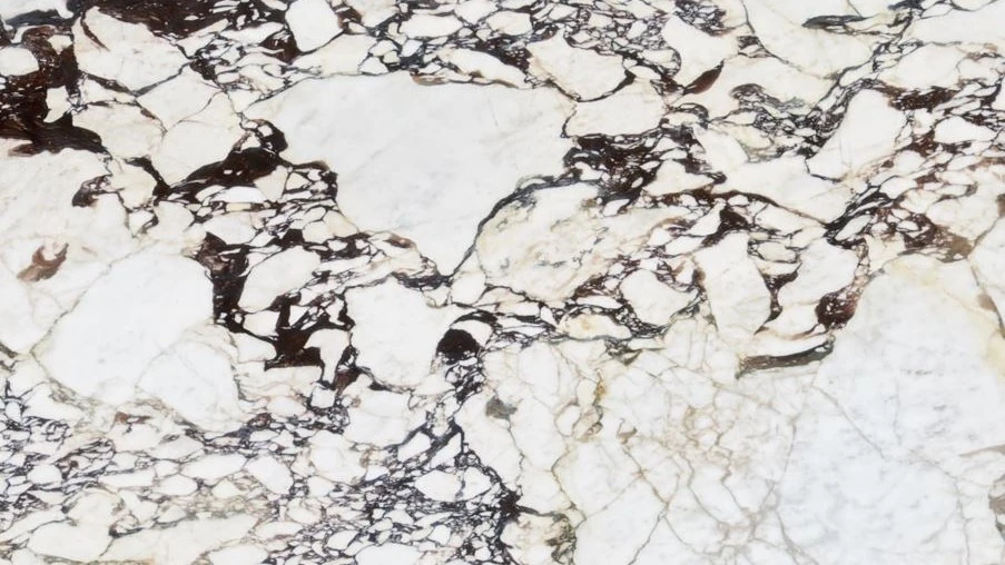 Catalog image for CALACATTA VIOLA POLISHED MARBLE 2CM