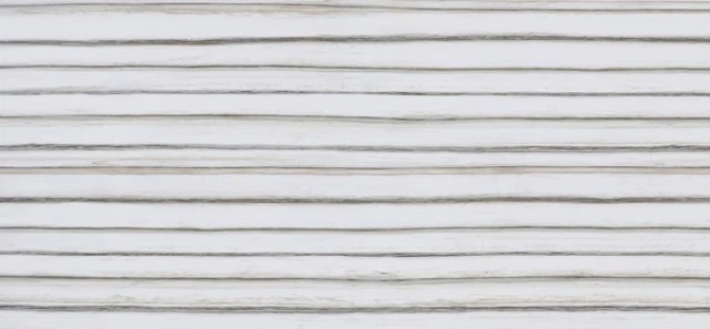 ANTOLINI TECH ZEBRINO BIANCO 12MM JUMBO 126X63 — supplier catalog image