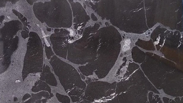 Catalog image for BLACK MAMBA POLISHED GRANITE 2CM