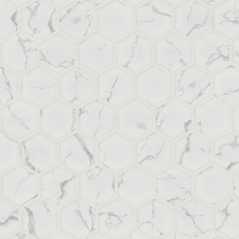 Carrara Matte 2" Hexagon Tile product sample
