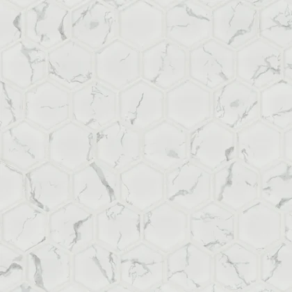 Carrara Matte 2" Hexagon Tile product sample