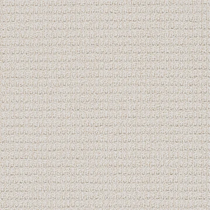Magnificent · Palma carpet product sample