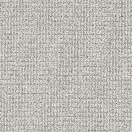 Nautilus · Palma carpet product sample