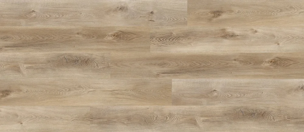 Eastern Cottonwood · Countryside product sample