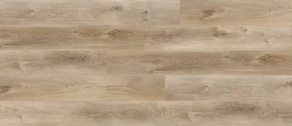 Eastern Cottonwood · Countryside product sample