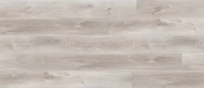 American Hornbeam · Countryside product sample