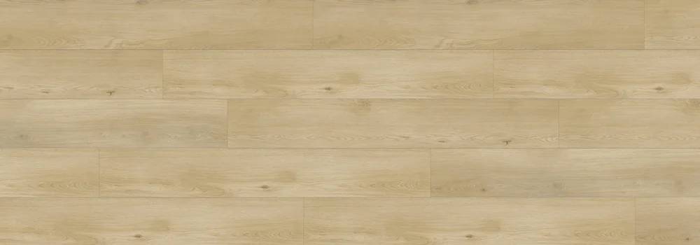 Boggs · Sierra product sample
