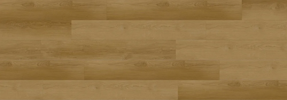 Ellen · Sierra product sample