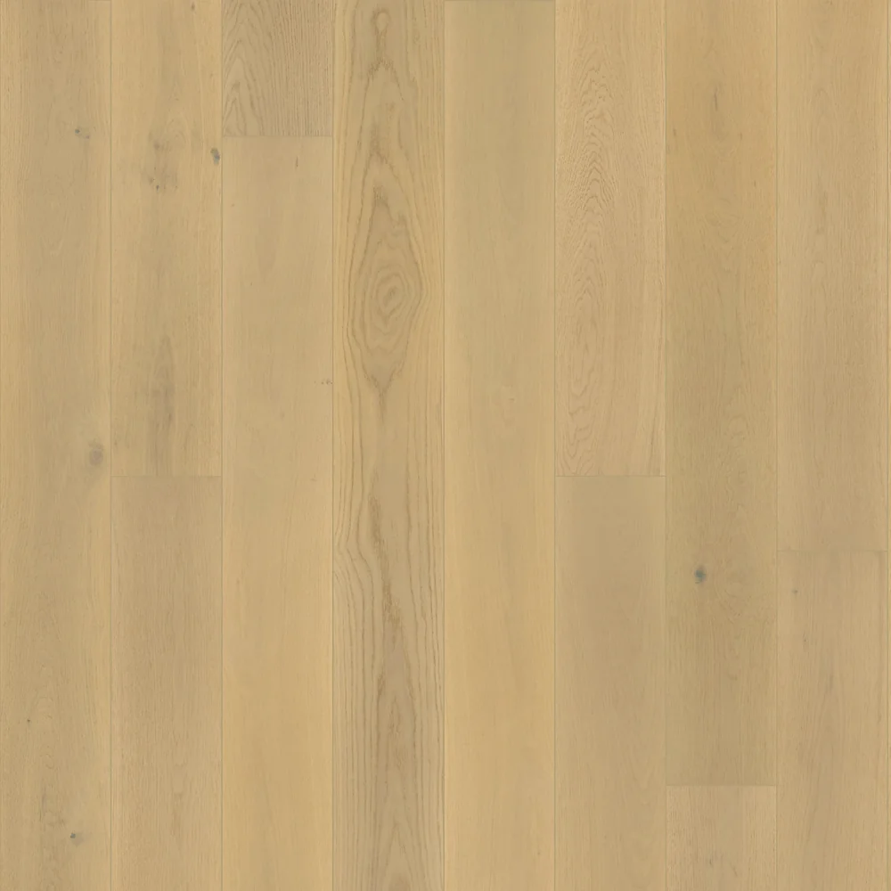 Sand Pearl Oak · Harbor Estates engineered wood product sample