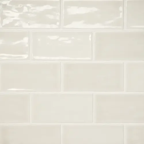 Sand Dollar · 2.5" x 5" wall tile product sample