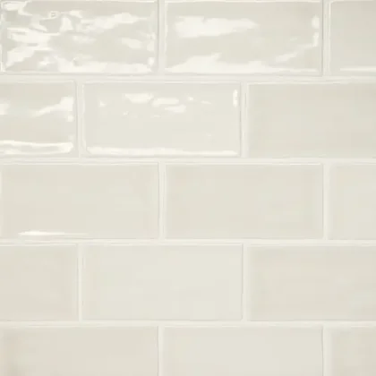 Sand Dollar · 2.5" x 5" wall tile product sample