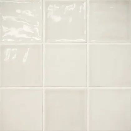 Sand Dollar · 4" x 4" wall tile product sample