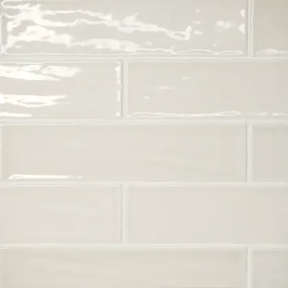 Sand Dollar · 2.5" x 10" wall tile product sample