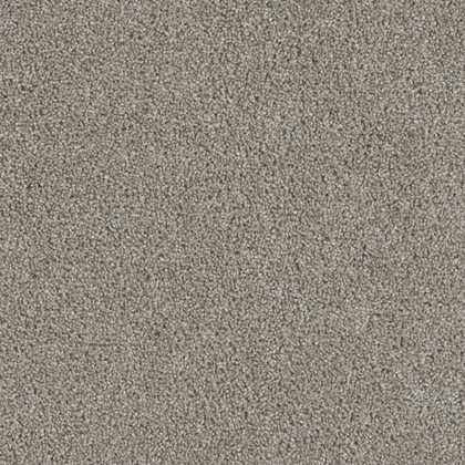 Vela · Acclaim carpet product sample