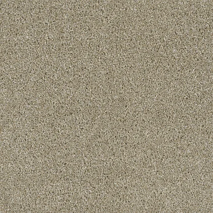Outback · Acclaim carpet product sample