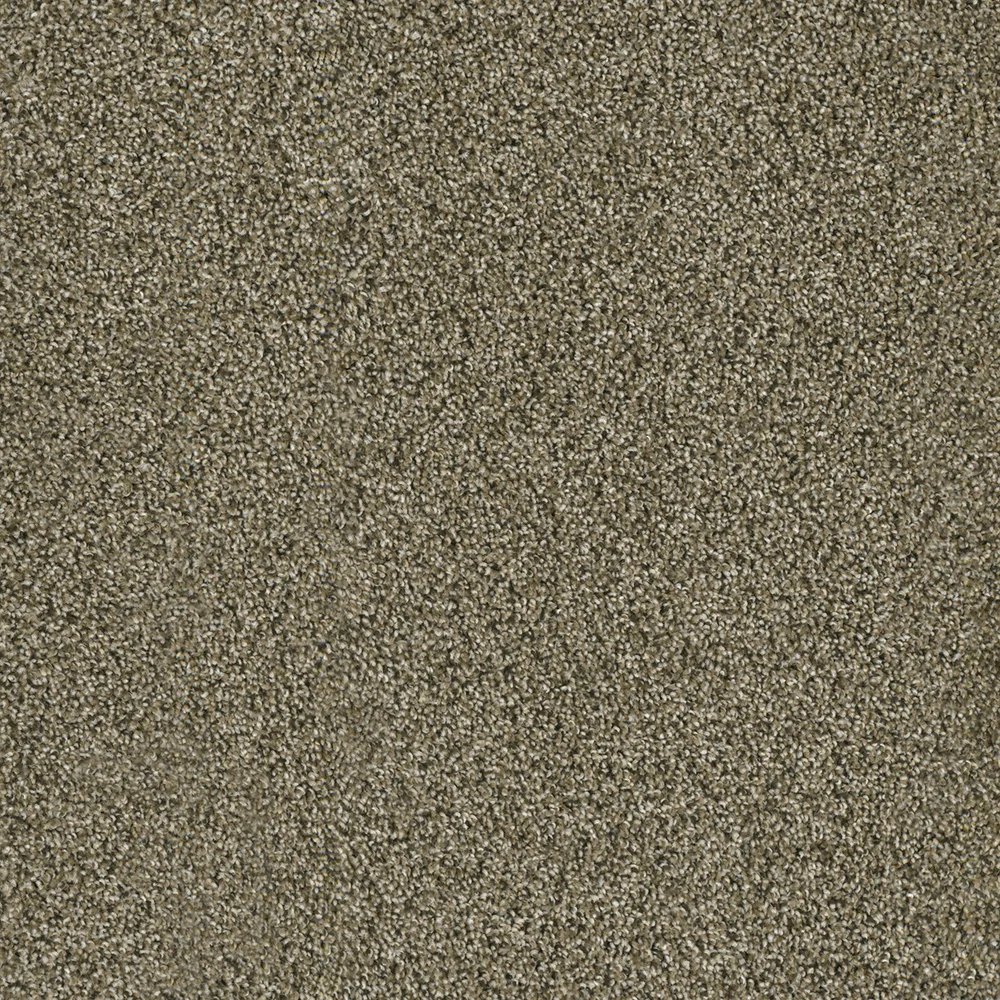 Island Spice · Acclaim carpet product sample