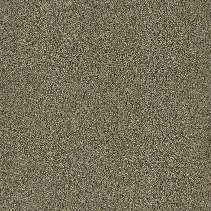 Island Spice · Acclaim carpet product sample