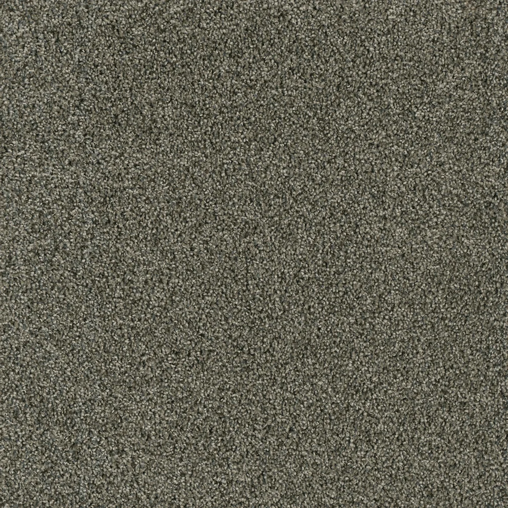 Midnight Shadow · Acclaim carpet product sample