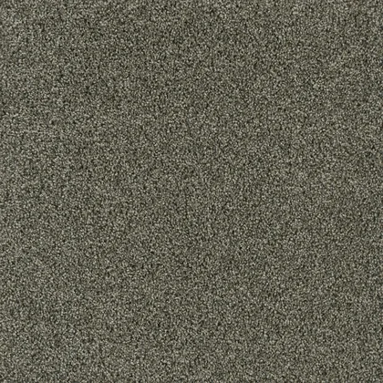 Midnight Shadow · Acclaim carpet product sample