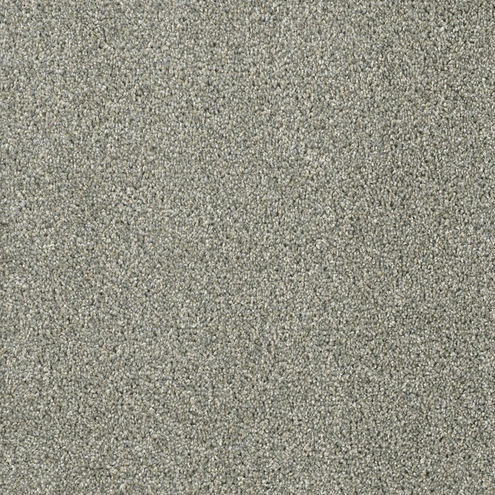 Sandy Trail · Acclaim carpet product sample