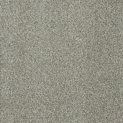 Sandy Trail · Acclaim carpet product sample