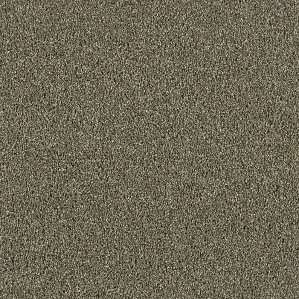 Cinnamon Tea · Acclaim carpet product sample