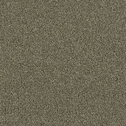 Cinnamon Tea · Acclaim carpet product sample