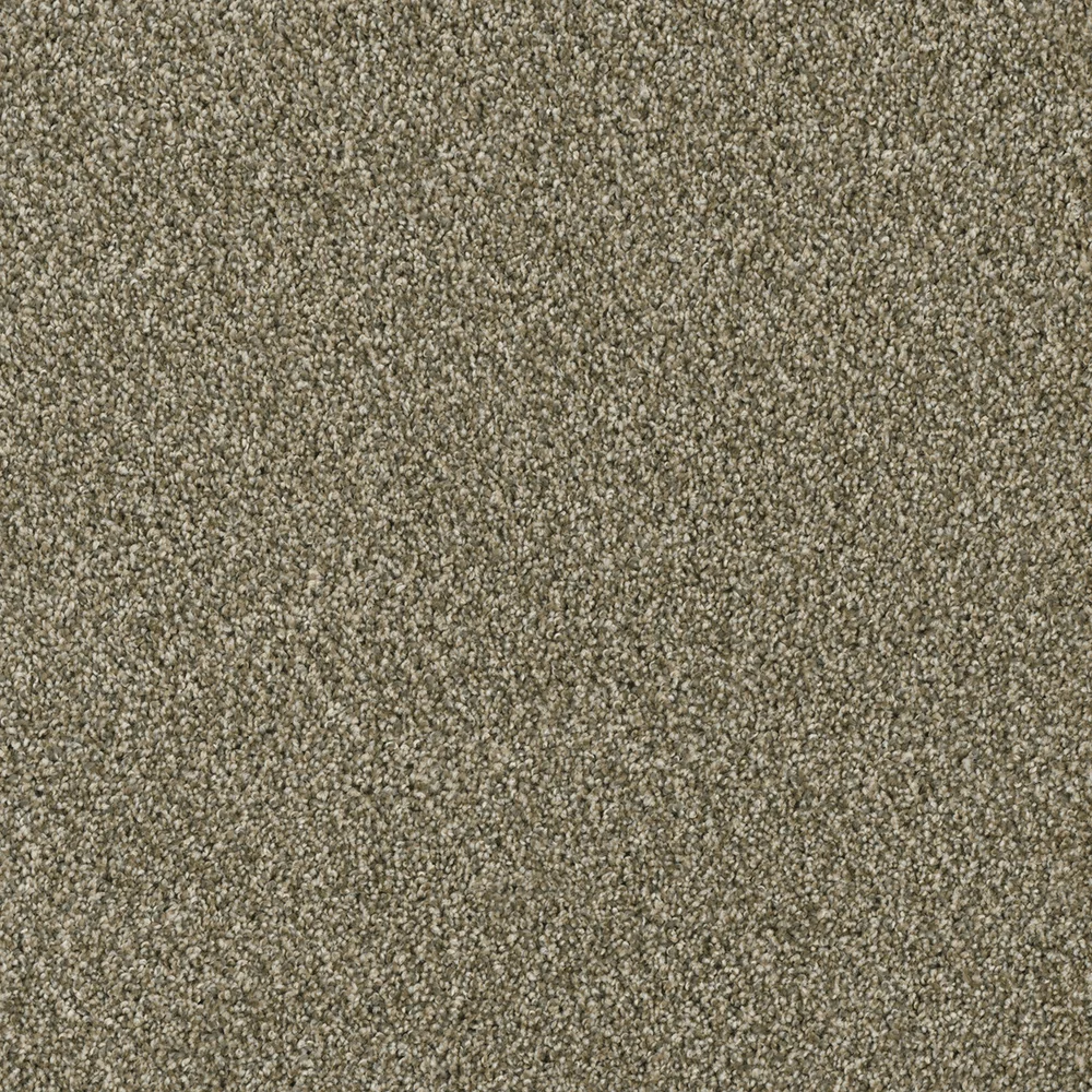 Sienna Sand · Acclaim carpet product sample
